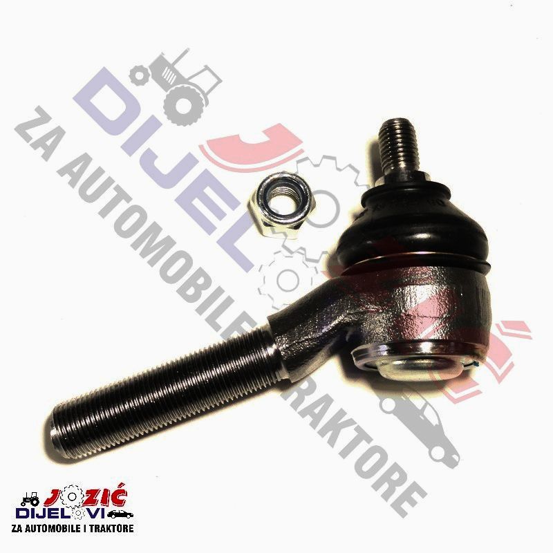 Daisy on the Ohoopee