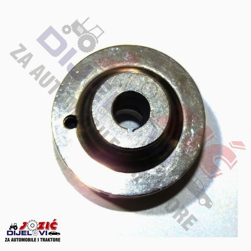 Daisy on the Ohoopee