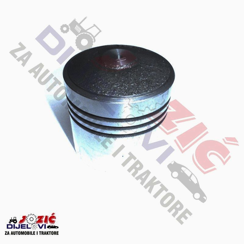 Daisy on the Ohoopee