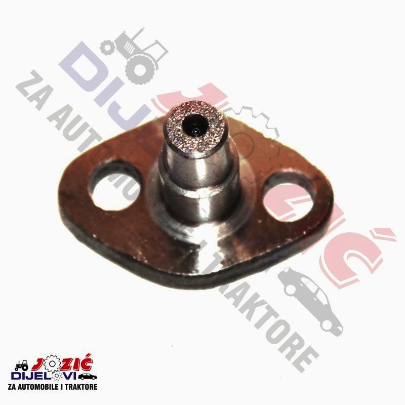 Daisy on the Ohoopee