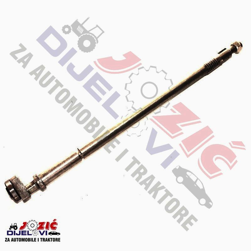 Daisy on the Ohoopee