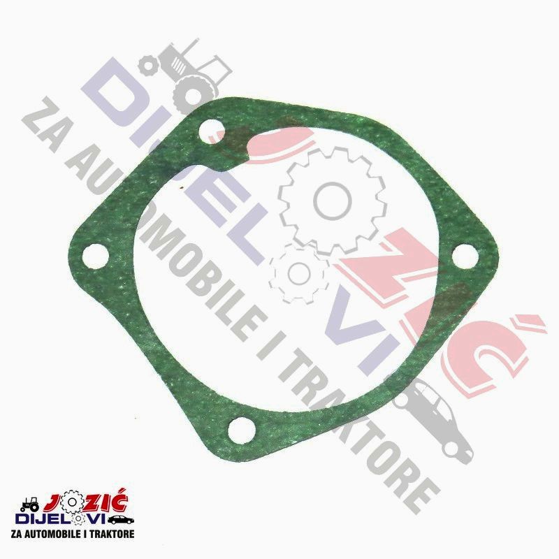 Daisy on the Ohoopee