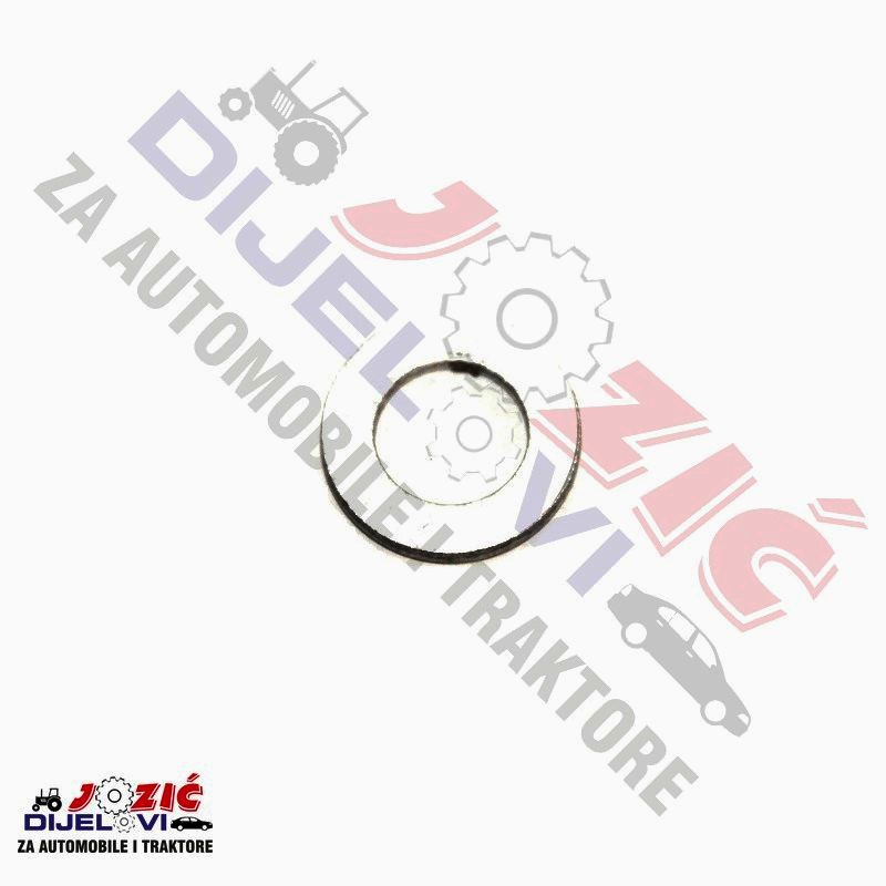 Daisy on the Ohoopee