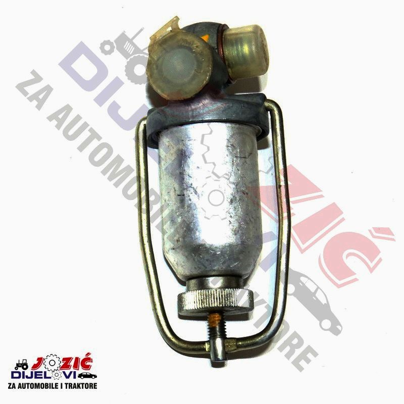 Daisy on the Ohoopee