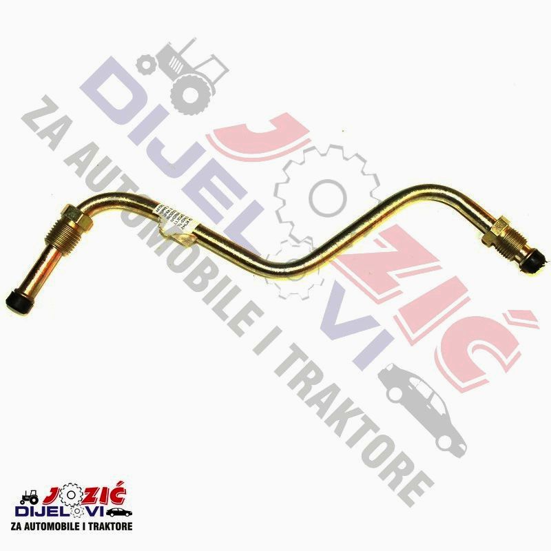 Daisy on the Ohoopee