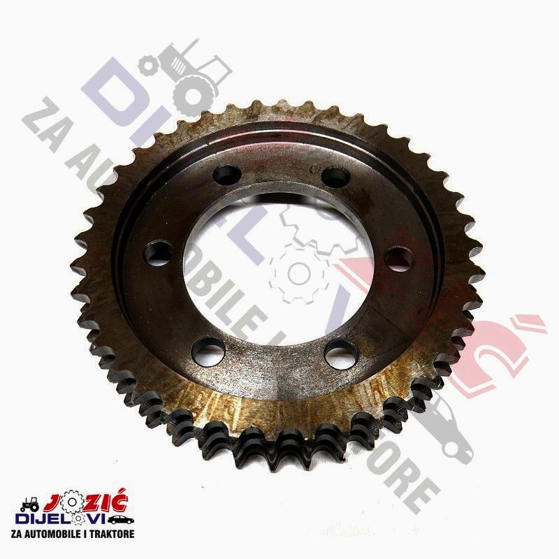 Daisy on the Ohoopee