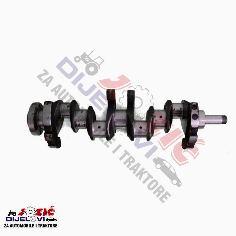 Daisy on the Ohoopee