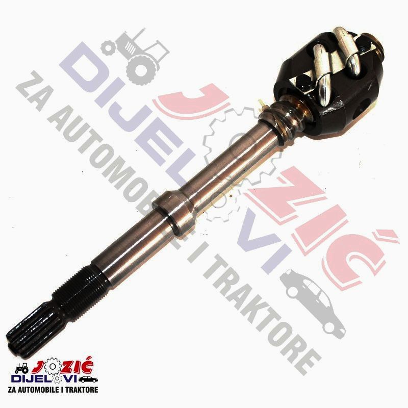 Daisy on the Ohoopee