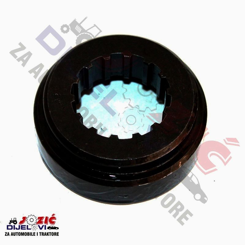 Daisy on the Ohoopee