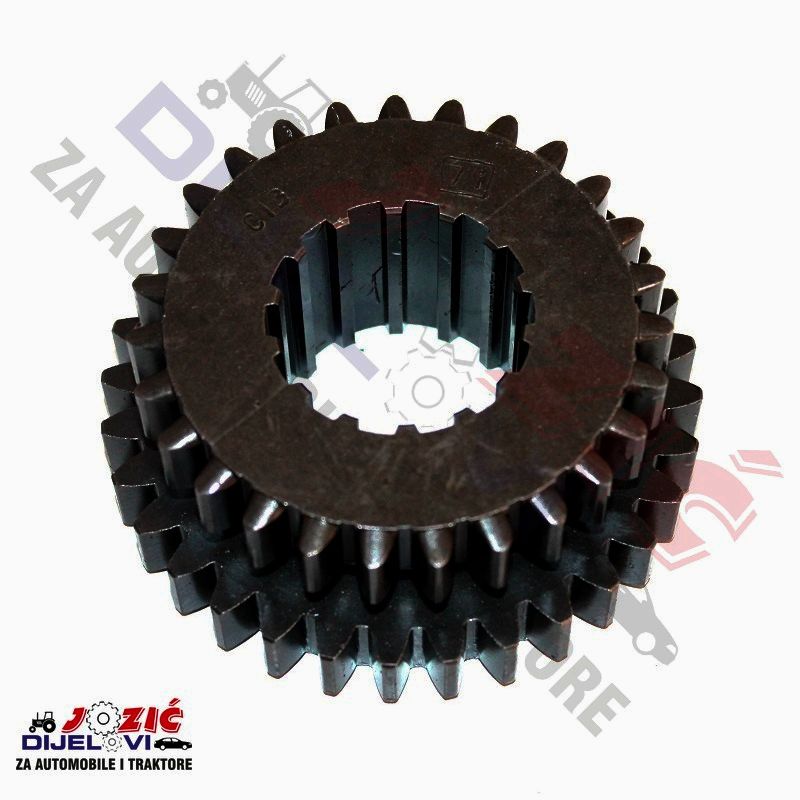 Daisy on the Ohoopee