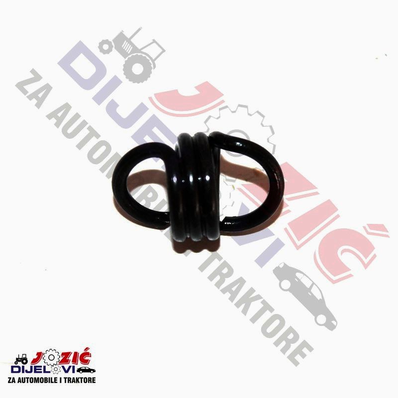 Daisy on the Ohoopee