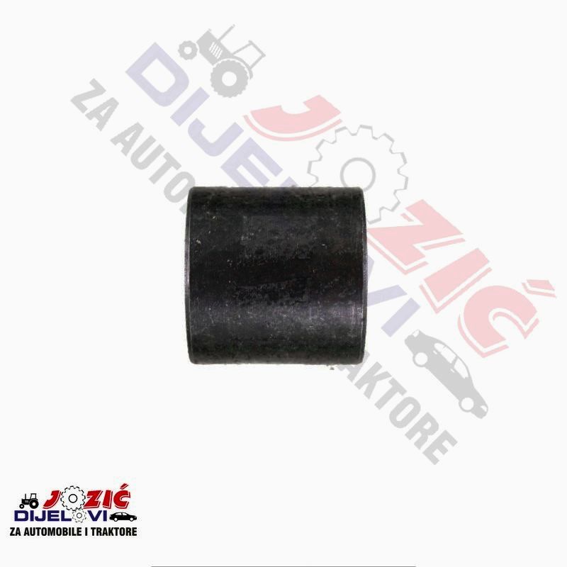 Daisy on the Ohoopee