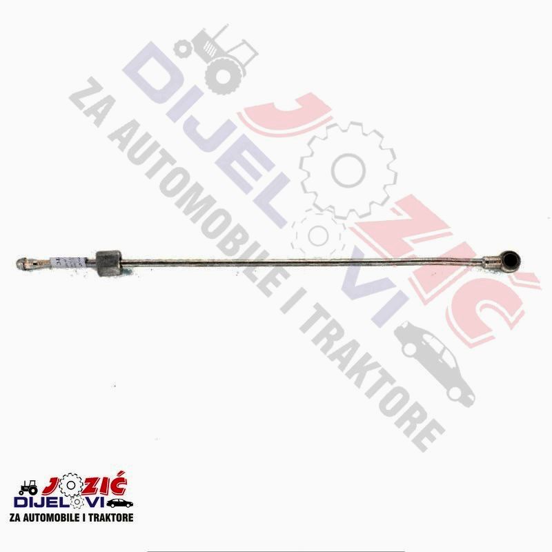 Daisy on the Ohoopee