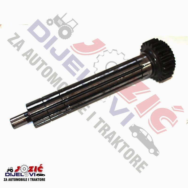 Daisy on the Ohoopee