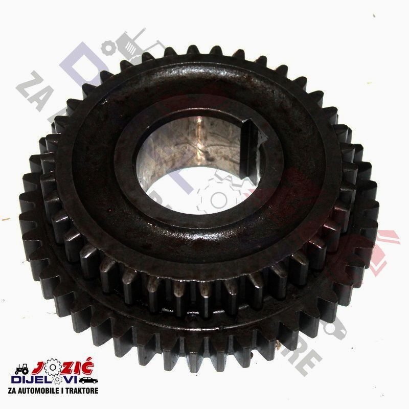 Daisy on the Ohoopee