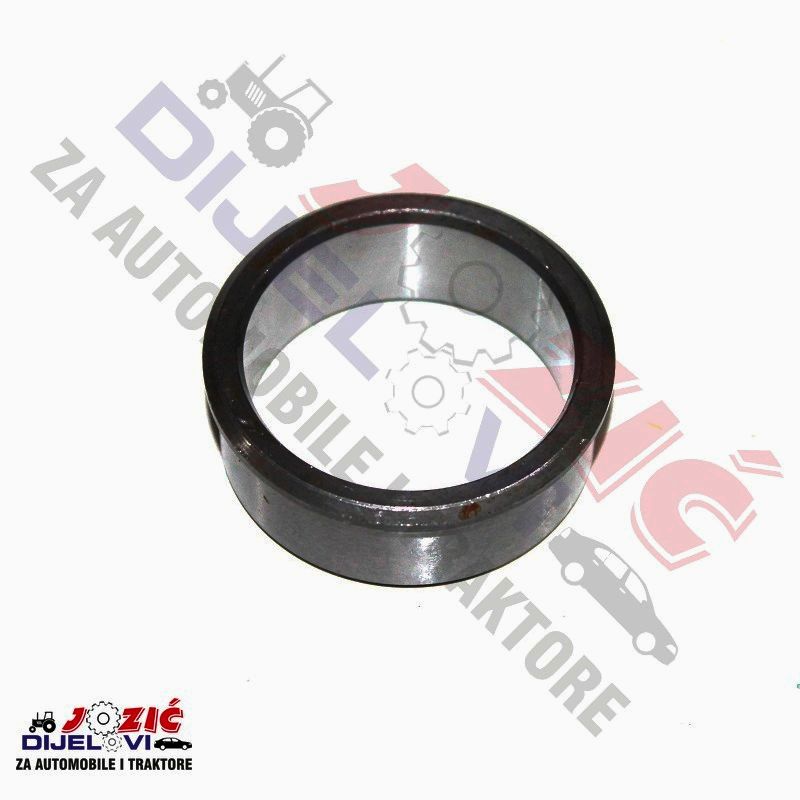 Daisy on the Ohoopee