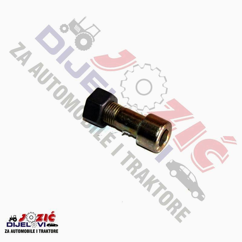 Daisy on the Ohoopee