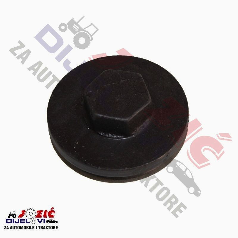 Daisy on the Ohoopee