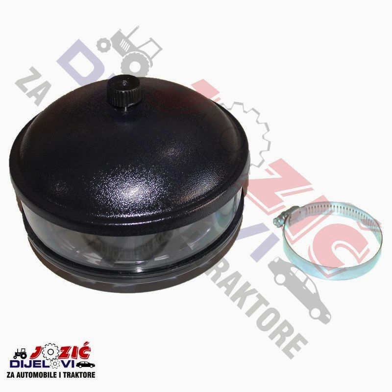 Daisy on the Ohoopee