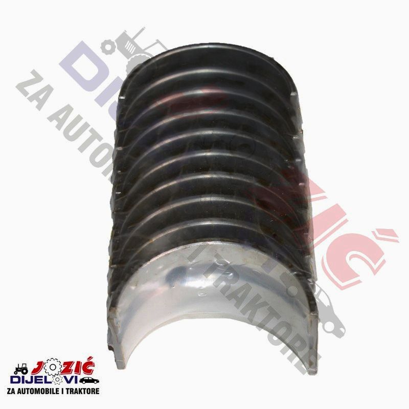 Daisy on the Ohoopee