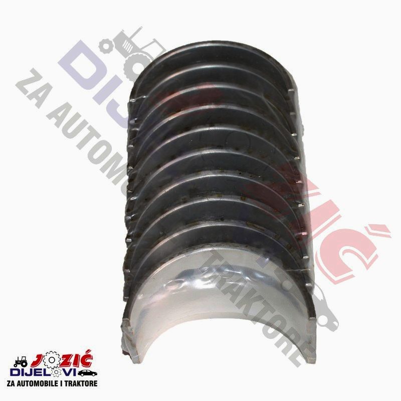 Daisy on the Ohoopee