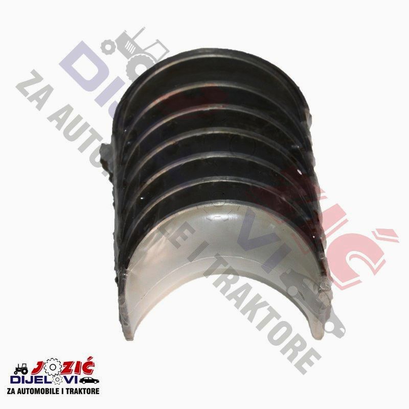 Daisy on the Ohoopee