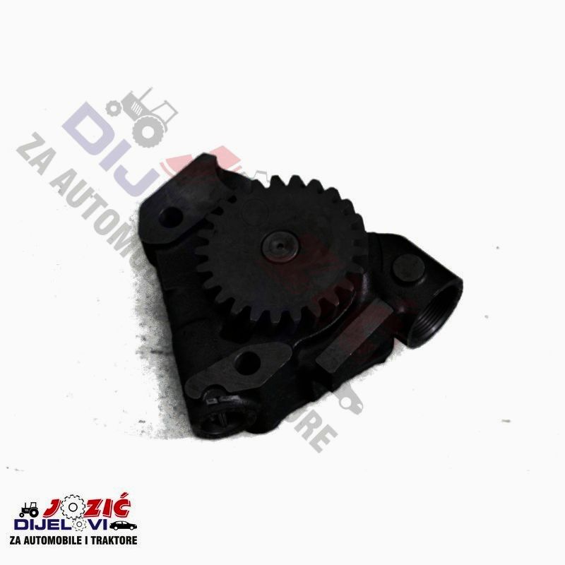 Daisy on the Ohoopee