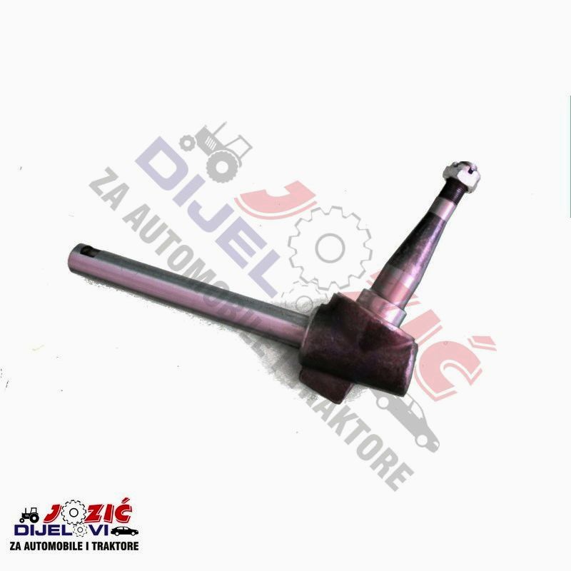 Daisy on the Ohoopee