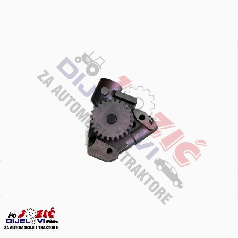 Daisy on the Ohoopee