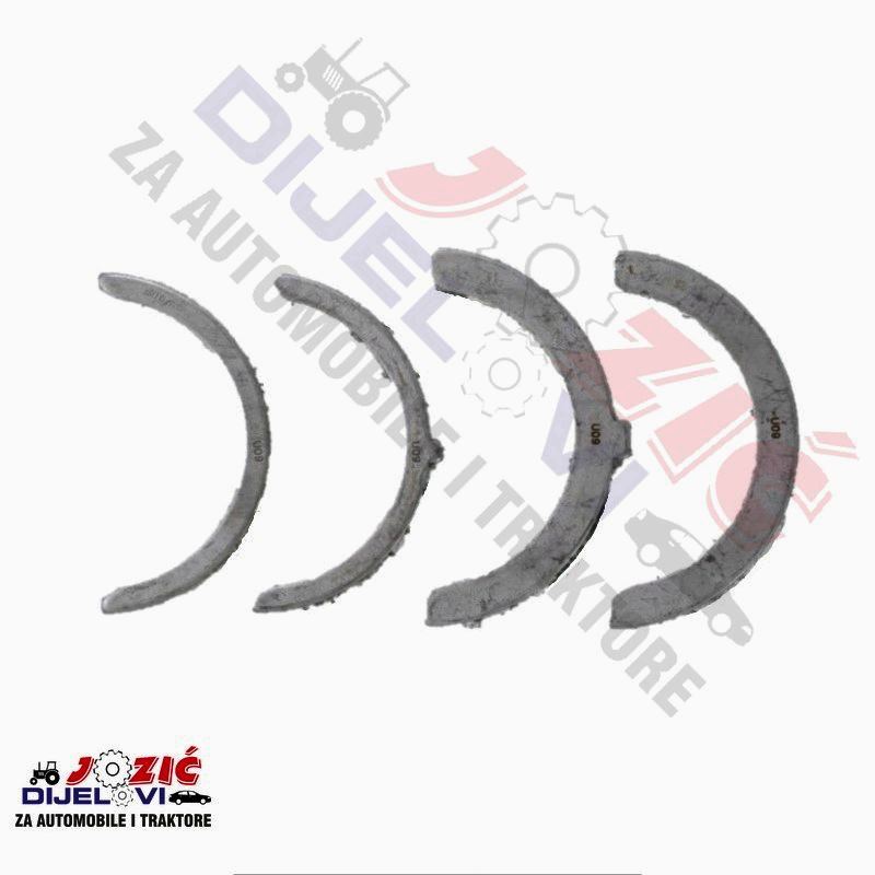 Daisy on the Ohoopee