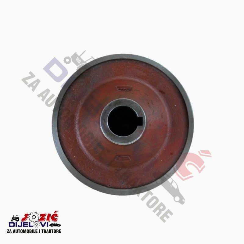 Daisy on the Ohoopee