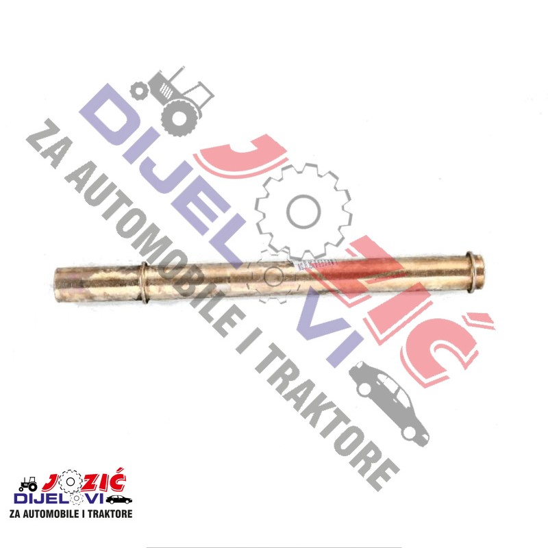 Daisy on the Ohoopee