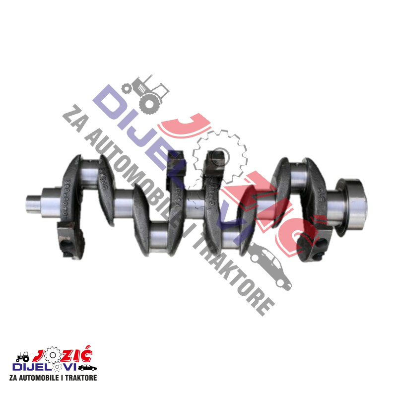 Daisy on the Ohoopee