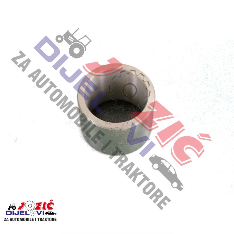 Daisy on the Ohoopee