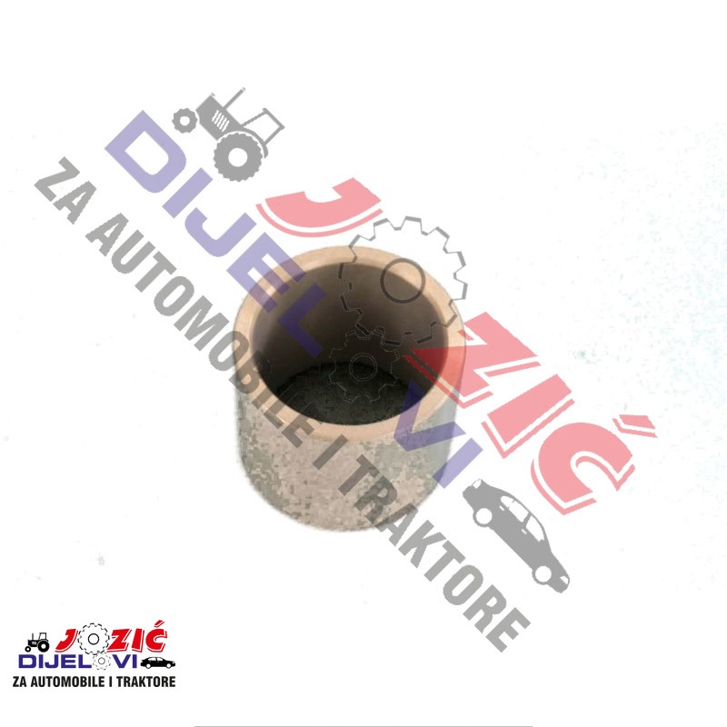 Daisy on the Ohoopee