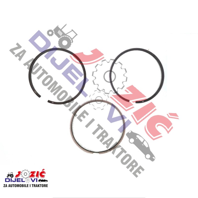 Daisy on the Ohoopee