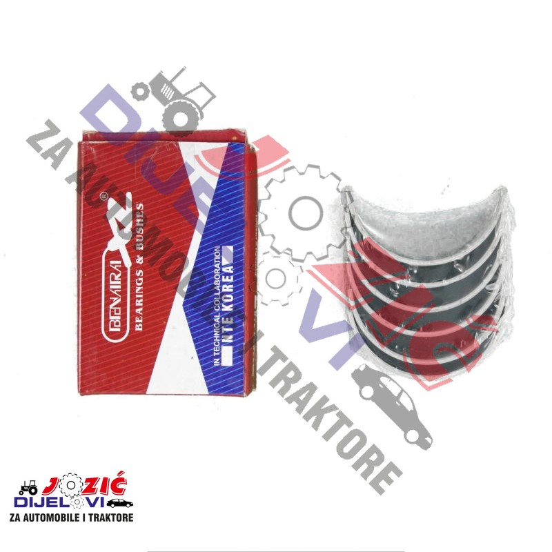 Daisy on the Ohoopee