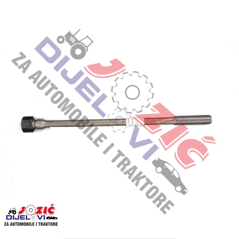 Daisy on the Ohoopee