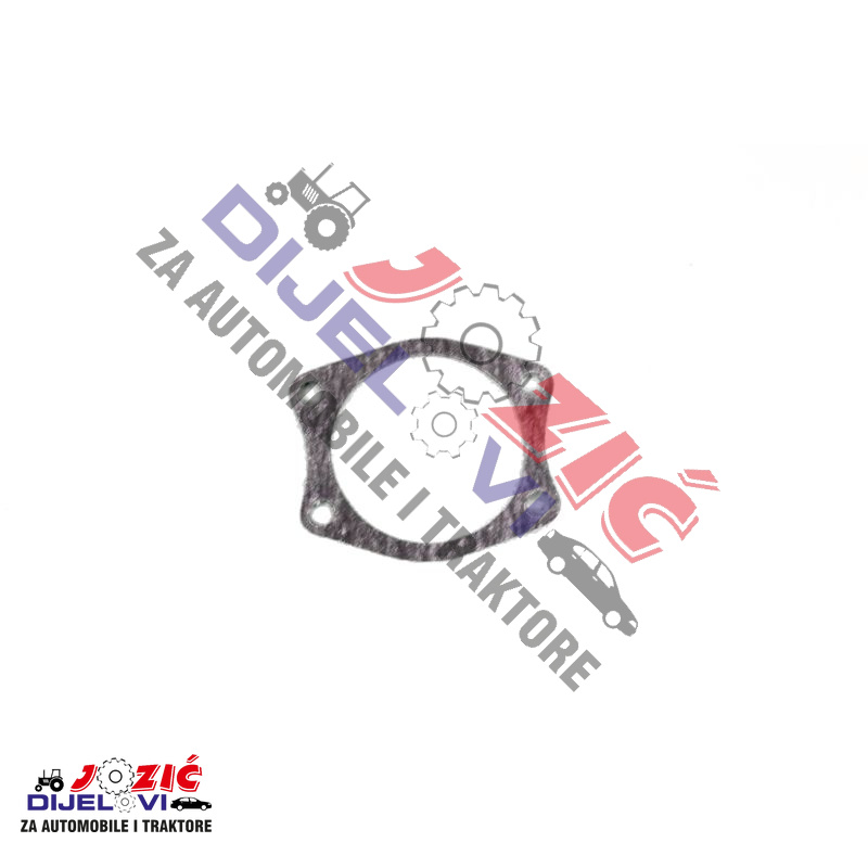 Daisy on the Ohoopee