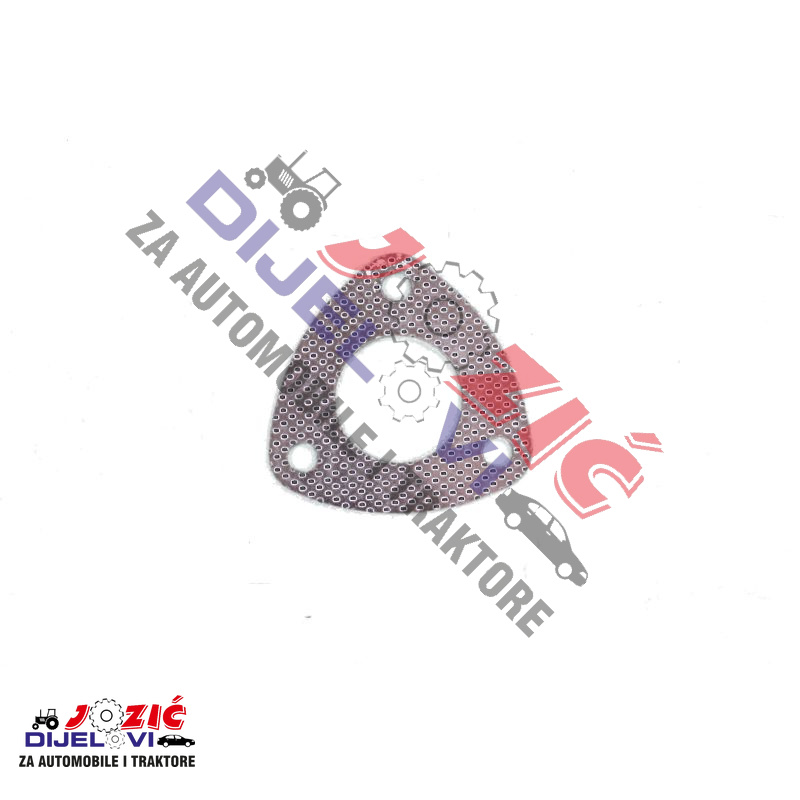 Daisy on the Ohoopee