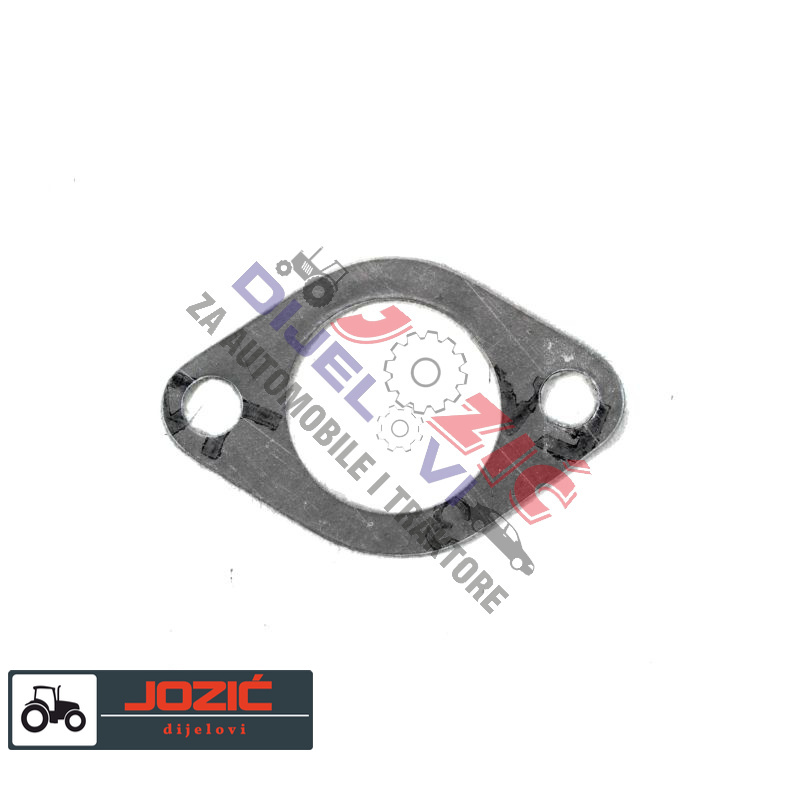 Daisy on the Ohoopee