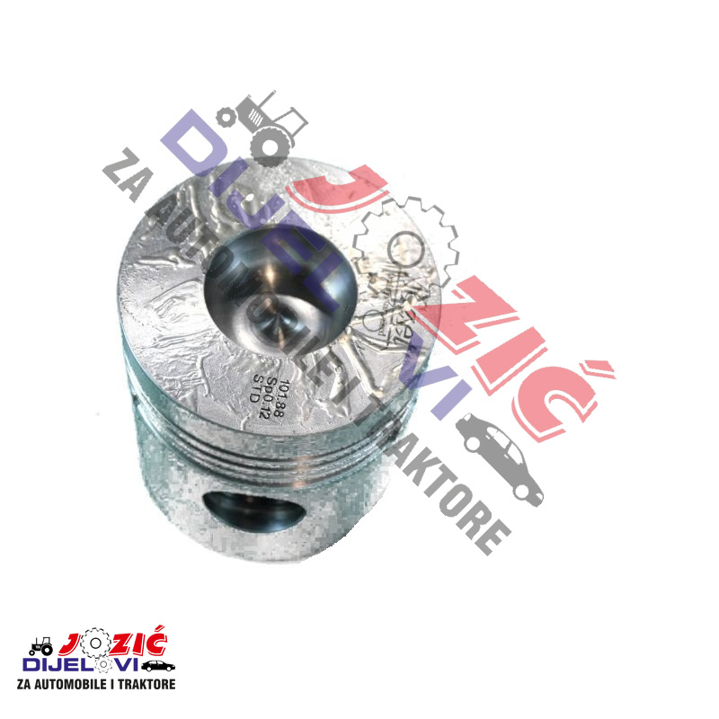 Daisy on the Ohoopee