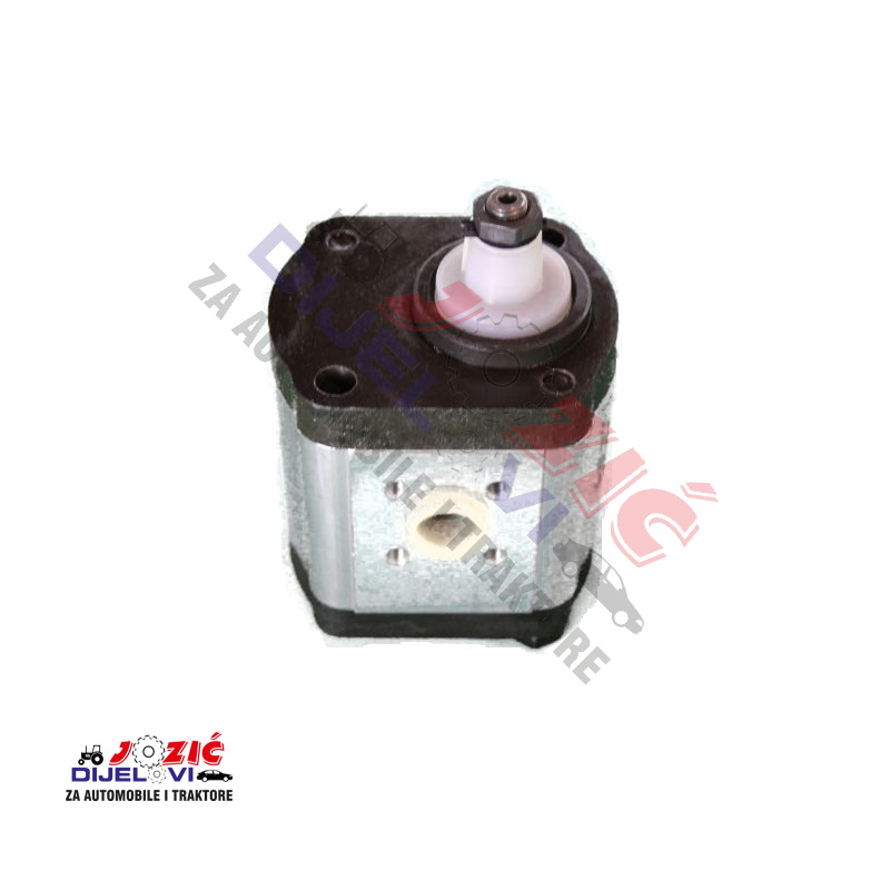 Daisy on the Ohoopee