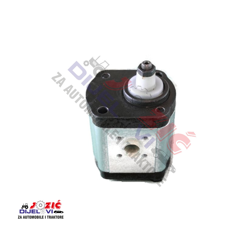 Daisy on the Ohoopee