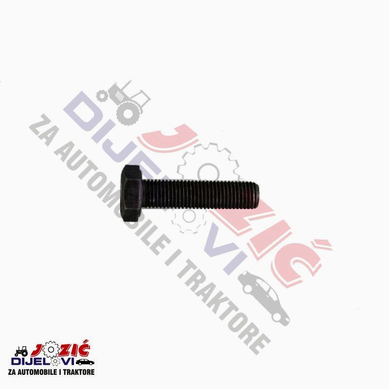 Daisy on the Ohoopee