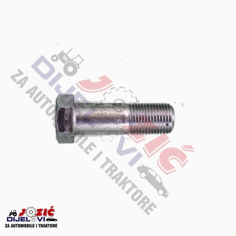 Daisy on the Ohoopee