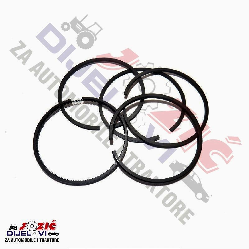 Daisy on the Ohoopee