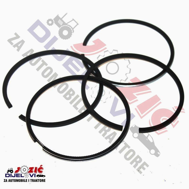 Daisy on the Ohoopee