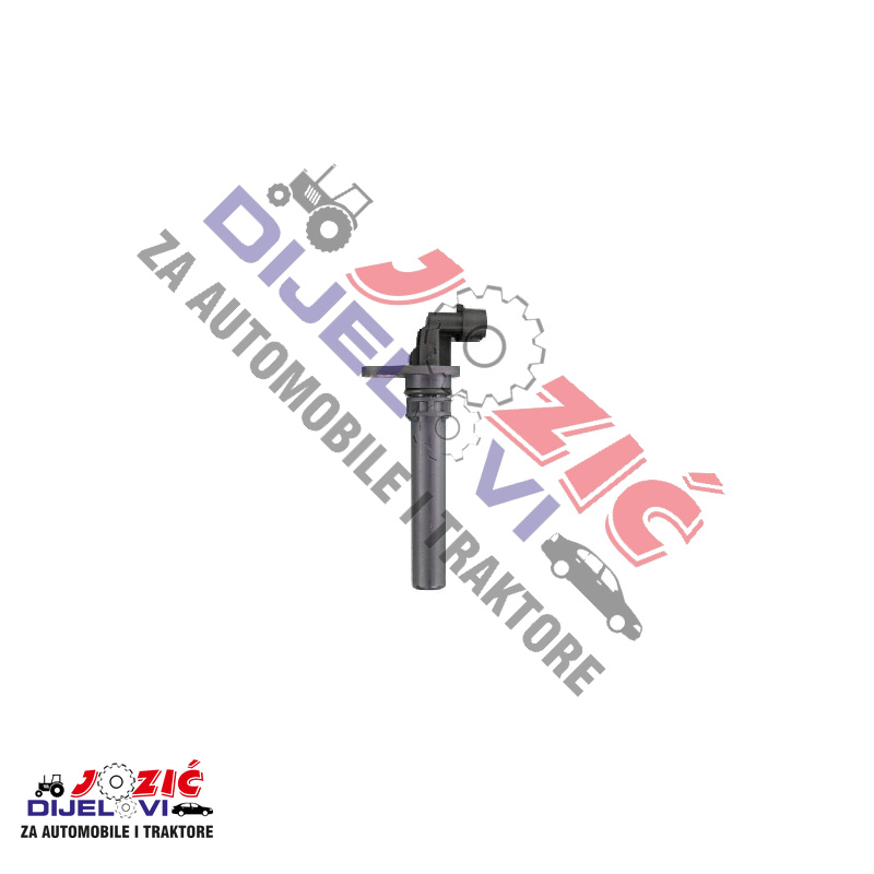 Daisy on the Ohoopee