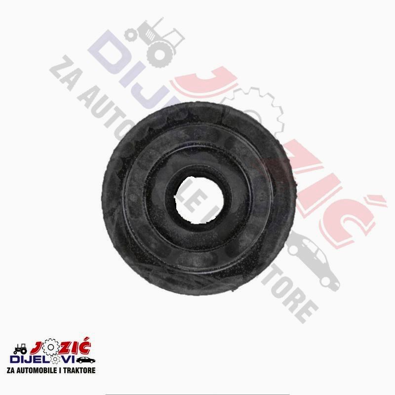 Daisy on the Ohoopee